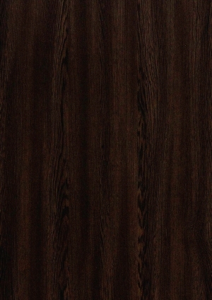 ModernWood Texture