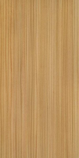 ModernWood Texture