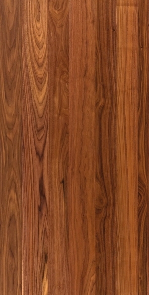 ModernWood Texture