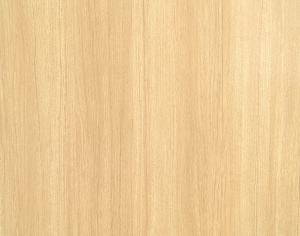 ModernWood Texture