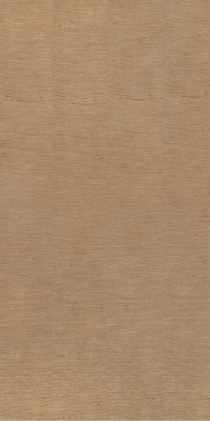 ModernWood Texture