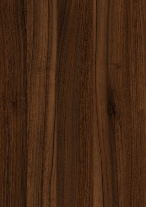ModernWood Texture