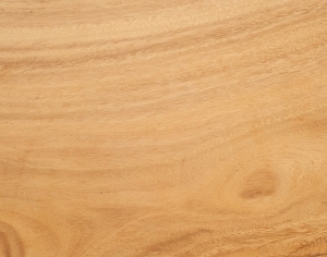 ModernWood Texture