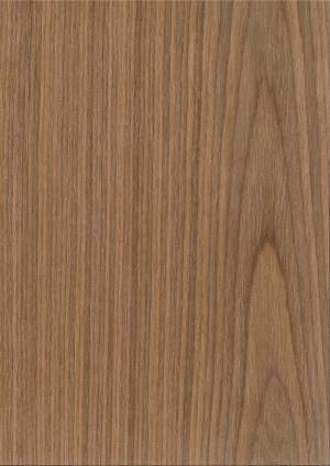 ModernWood Texture