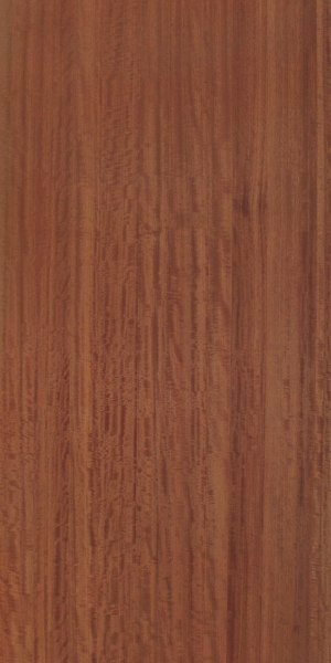 ModernWood Texture