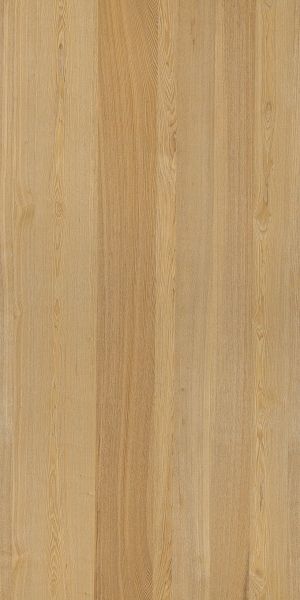 ModernWood Texture