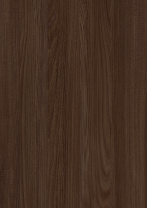 ModernWood Texture