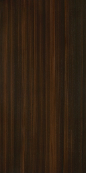 ModernWood Texture