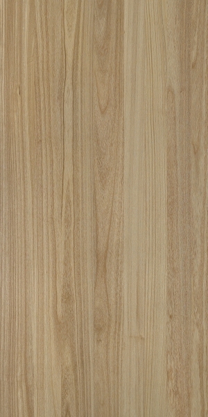 ModernWood Texture