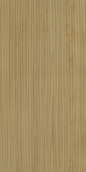 ModernWood Texture