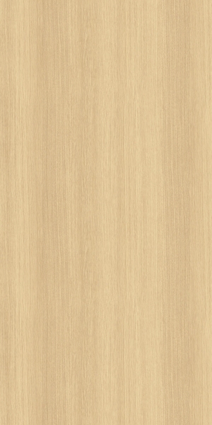ModernWood Texture