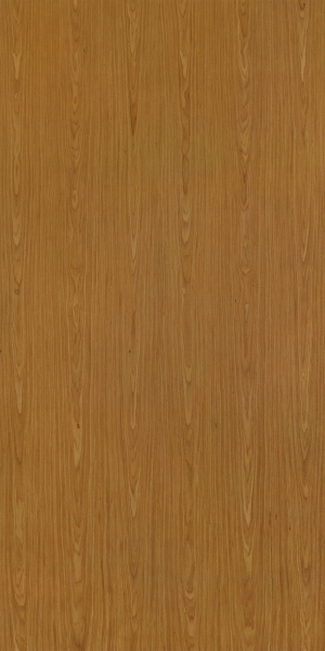 ModernWood Texture