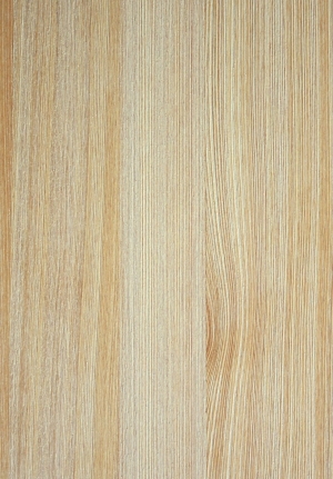 ModernWood Texture