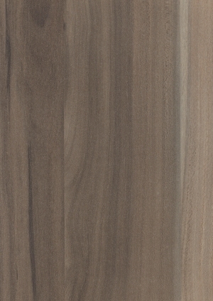 ModernWood Texture