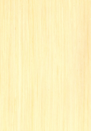 ModernWood Texture