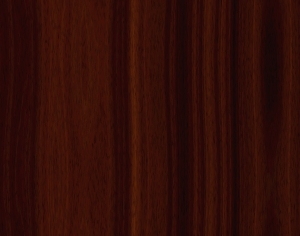 ModernWood Texture