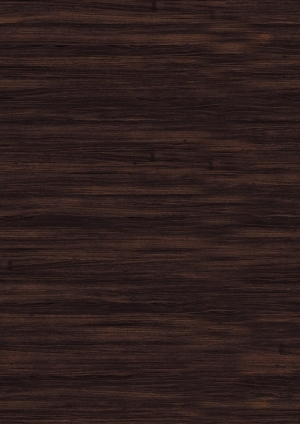 ModernWood Texture