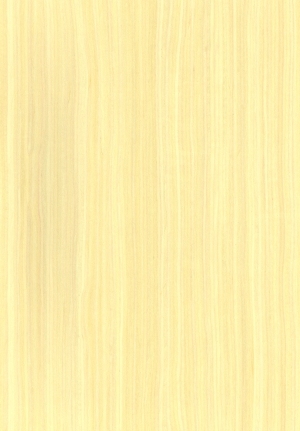 ModernWood Texture