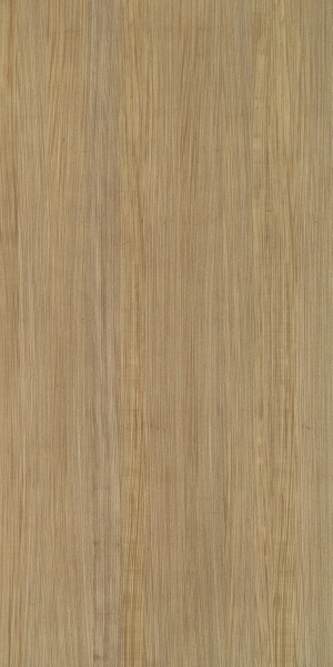 ModernWood Texture