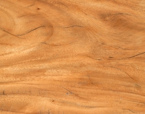 ModernWood Texture
