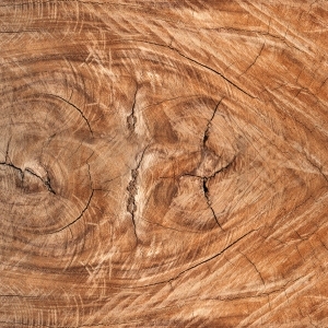 ModernWood Texture