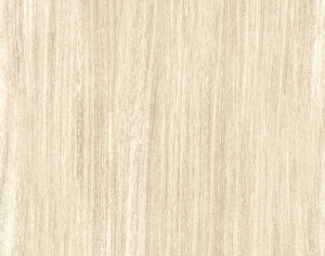 ModernWood Texture