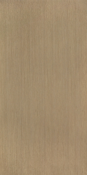 ModernWood Texture