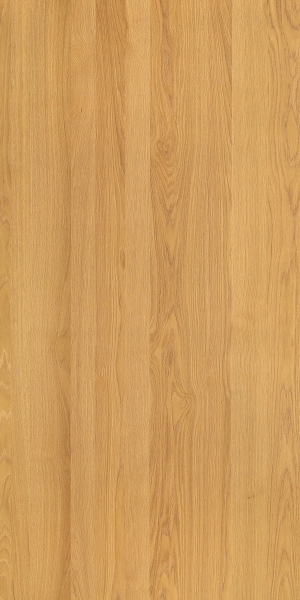 ModernWood Texture