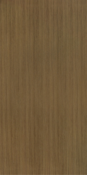 ModernWood Texture
