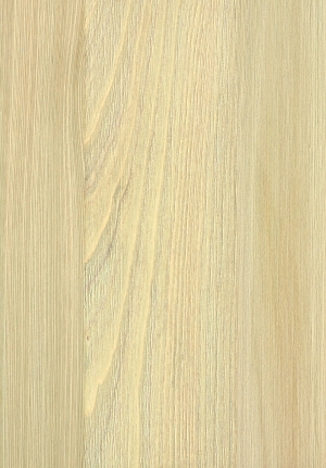 ModernWood Texture