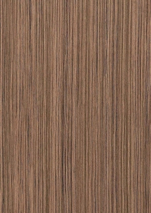ModernWood Texture
