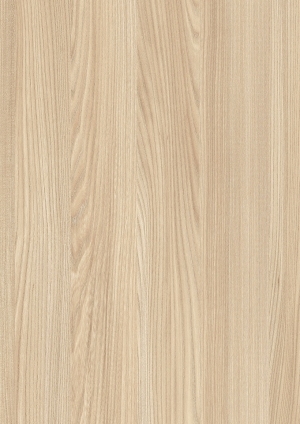 ModernWood Texture