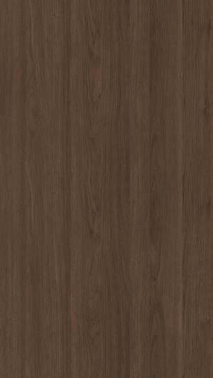 ModernWood Texture