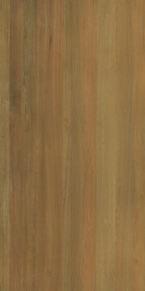 ModernWood Texture