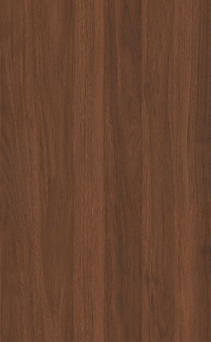 ModernWood Texture
