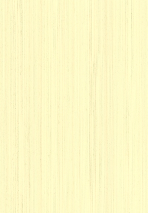 ModernWood Texture