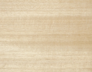 ModernWood Texture