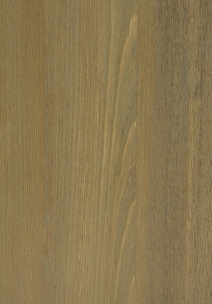 ModernWood Texture