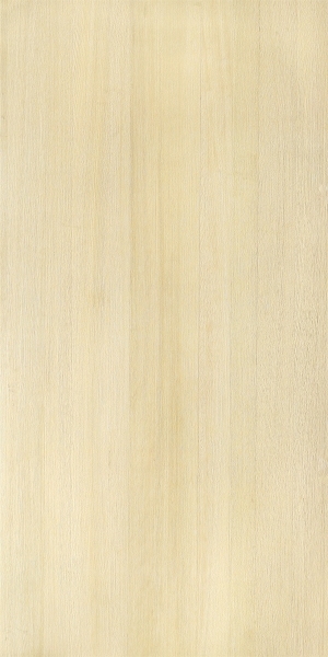 ModernWood Texture