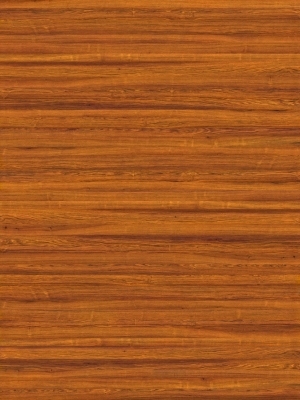 ModernWood Texture