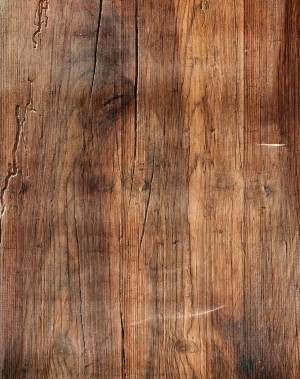 ModernWood Texture