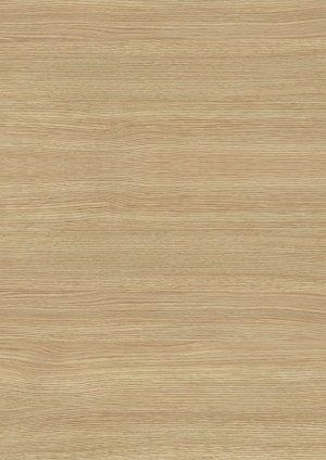 ModernWood Texture
