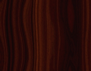 ModernWood Texture
