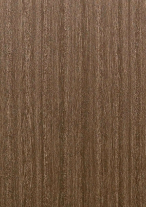 ModernWood Texture