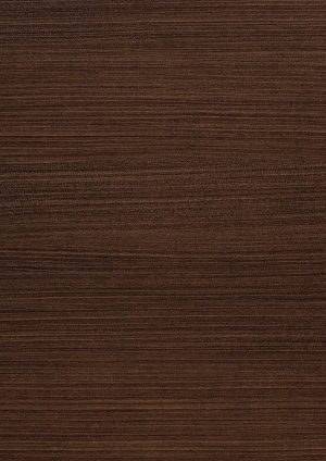 ModernWood Texture