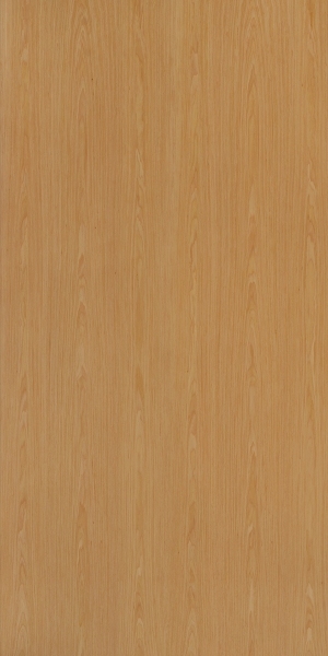 ModernWood Texture