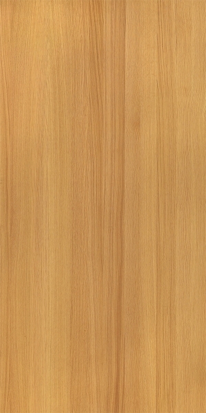 ModernWood Texture