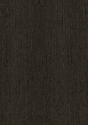 ModernWood Texture