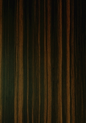 ModernWood Texture