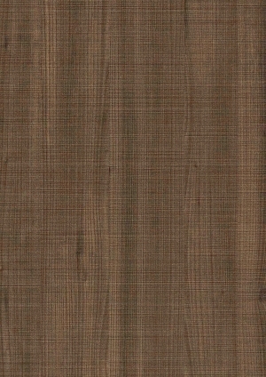 ModernWood Texture